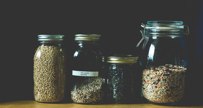 grain-free vs whole grain pet foods